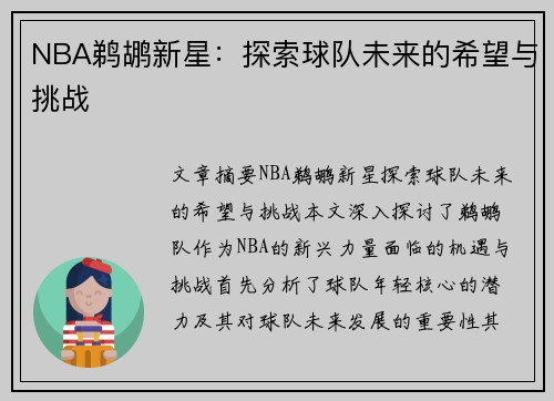 NBA鹈鹕新星：探索球队未来的希望与挑战