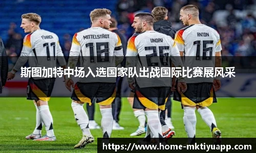 MK体育平台