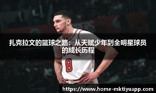 MK体育官网